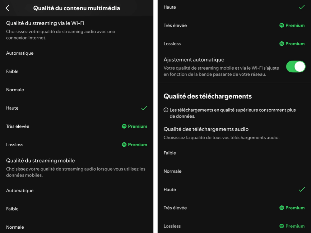 Paramètres de qualité audio Spotify