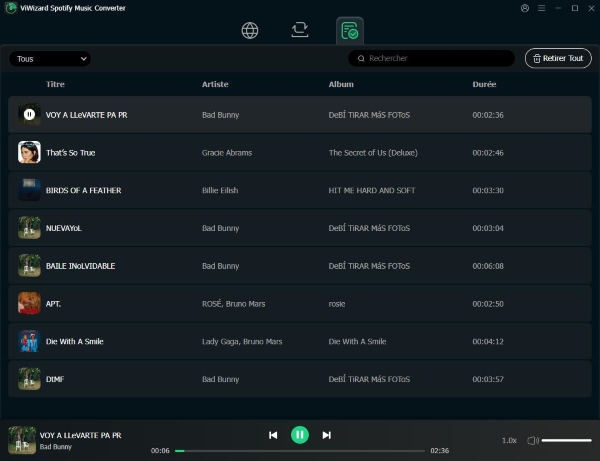 ViWizard Spotify Music Converter